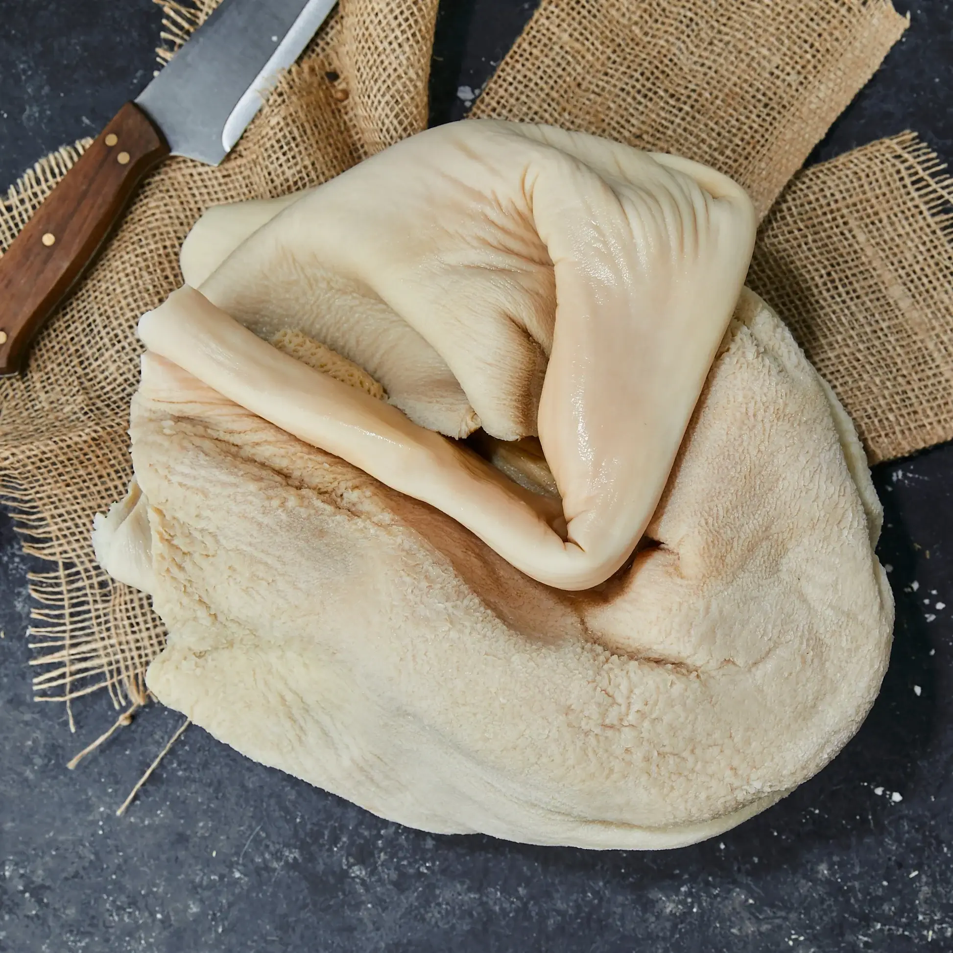GUATA DE VACUNO