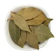 LAUREL ALEMAN REMZO 10 GR.